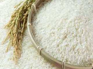 Giá lúa gạo hôm nay ngày 12/11: Nguồn cung ít đẩy giá gạo tiếp tục ở mức cao